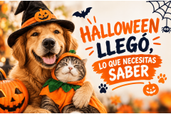 GALLETAS GRATIS