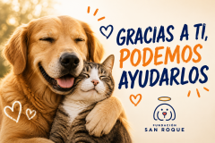DONACIÓN FUNDACIÓN SAN ROQUE